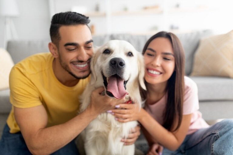 Empresa familiar se consolida como referência em cosméticos para animais no mercado pet