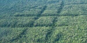 Ratanabá reescreve a história da Amazônia: novas evidências reacendem polêmica sobre civilização antiga